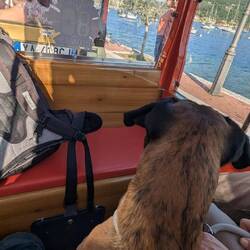 Seine erste (Bimmel) Bahnfahrt 😊