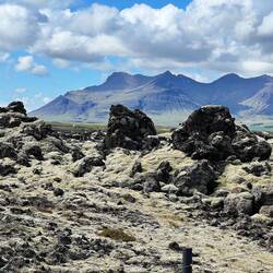 Lava field (not as I expected)