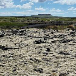 Am I allowed to call this a volcanino?