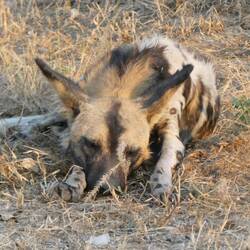 Right in front of our noses!