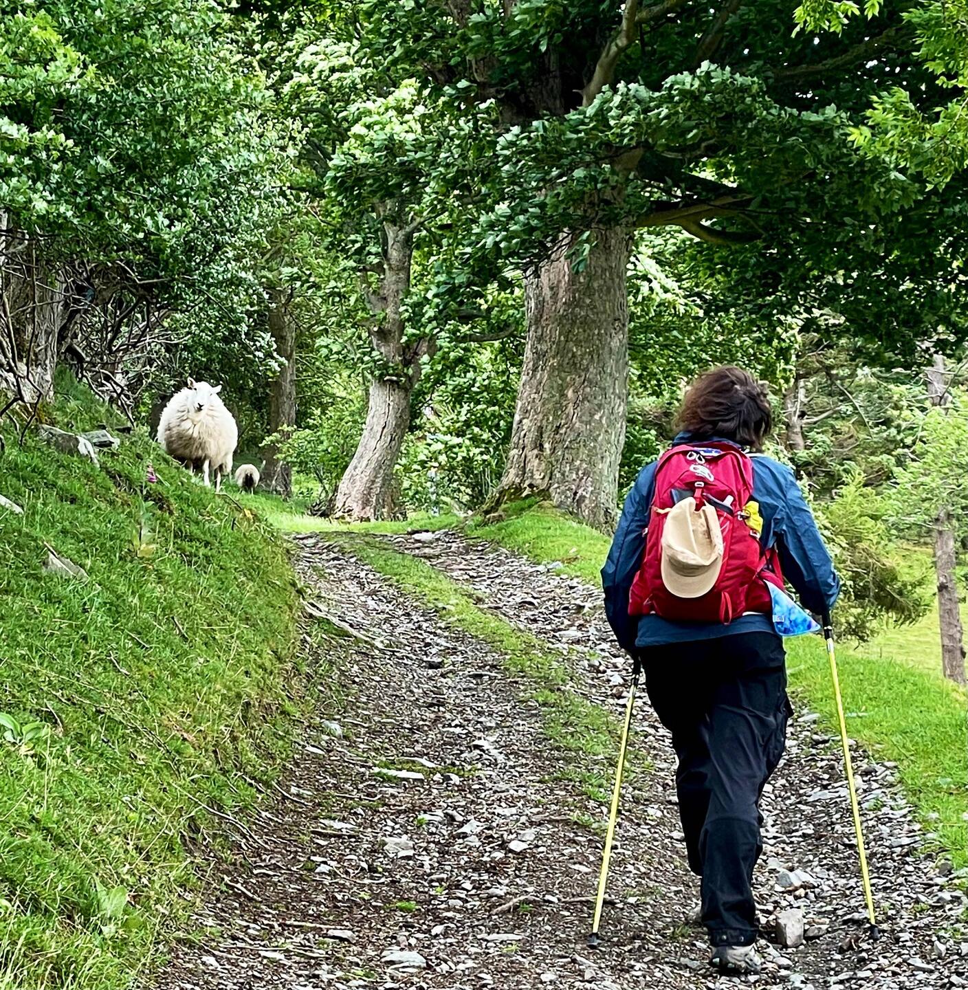 … down in the shelter of the valleys