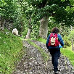 … down in the shelter of the valleys