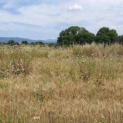 ... meine Hütte ...