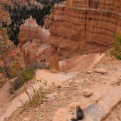 Nicht nur Zweibeiner mögen die Aussicht.