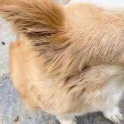 So süß der Kleine 🫶❤️