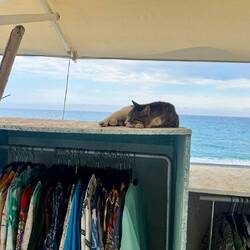 Die chillt ihr Leben