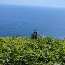 In ca. der Mitte des Weges zw..Dorf 3 und 2 diese Oase