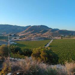 Die Berge sind alle kahl, wir nähern uns der Sierra Nevada