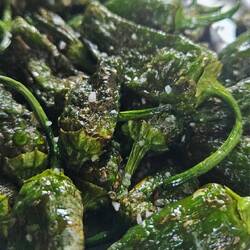 ... Pimientos de Padrón ...