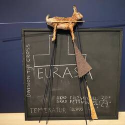 Joseph Beuys. Eurasia Siberian Symphony