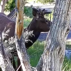 ... ich fress trotzdem weiter 😋