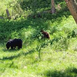 Leider nich besser getroffen...