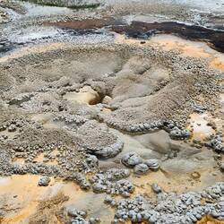 Anemone Geyser