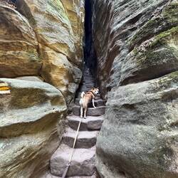 Mica will viiiel schneller.