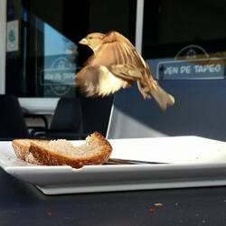 I did share the bread.