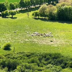 Unten sind klitzekleine Schafe.