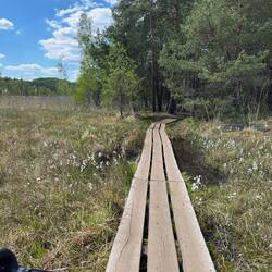 Zum Glück sind die Stege breit genug für das Lastenfahrrad😍.