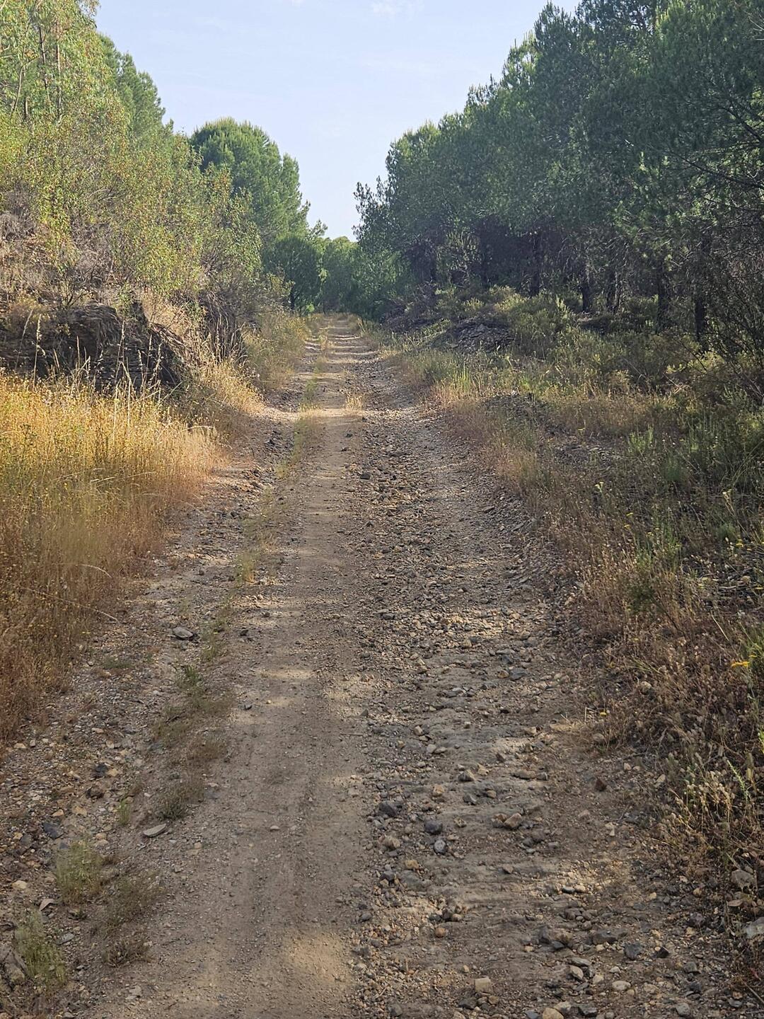 Schön schattig, aber anstrengend zu fahren der Weg...