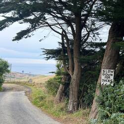 Our speed would not trouble any ducks