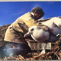 How to weigh an Albatross 101