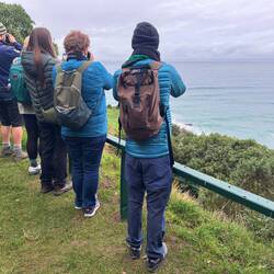 On the lookout for penguins on the beach below