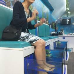 Nancy enjoying a pedicure compliments of some hungry little fish