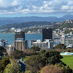 Wellington from botanical gardens
