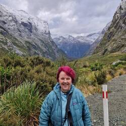 En route to Milford sound