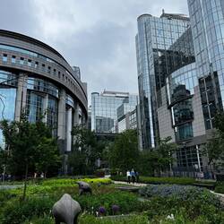 Das einzig Schöne war der kleine Park