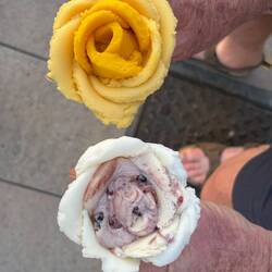 The gelato was shaped into a flower