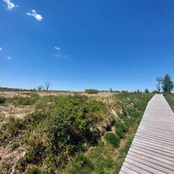 Also über den Zaun drüber fotografieren