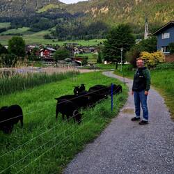 ein schwarzes Schaf ist immer dabei