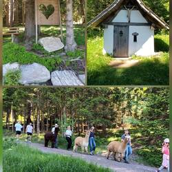 Kein Gäg..Wurden ausgeführt