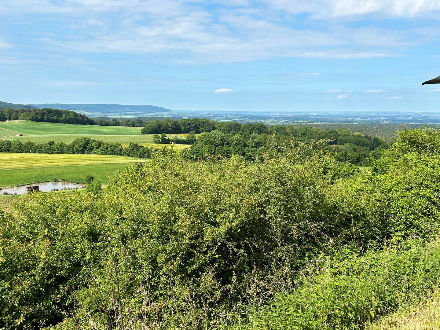 Panorama in Richtung Kitzingen