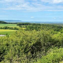 Panorama in Richtung Kitzingen