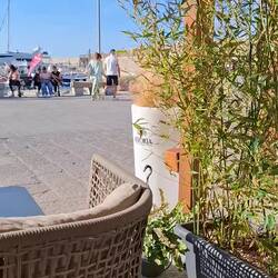 Late afternoon at my favourite bar