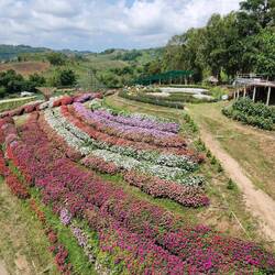Blumen Garten um zahlende Touristen anzulocken