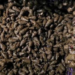 Nachtmarkt-Impressionen