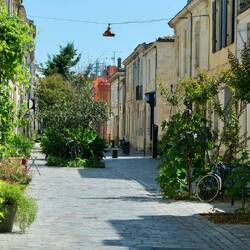 Tolle Begrünung eines Viertels