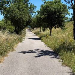 Aber wollen wir den Tag mal nicht vor dem Abend loben. Ist ja erst der erste Tag in Frankreich.