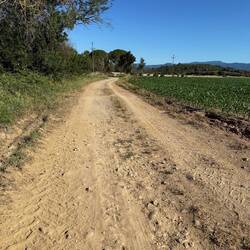 Etliche Kilometer ging es über staubige, steinige Feldwege entlang.