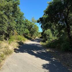 Der Anstieg über die Pyrenäen mit insgesamt 515 Höhenmetern.