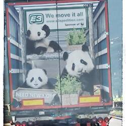 Brauch ein neues Zuhause... Schnuki gerne, aber Platztechnisch haben wir zwei da ein Problem 🤣😜