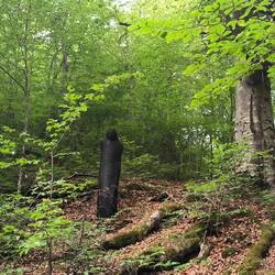 Danke,dass es nicht wieder dunkel ist im Wald