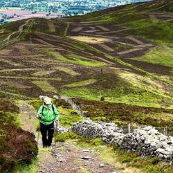 Clywdian Hills with mowing for the black grouse