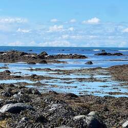 Look hard and you may spot the seals
