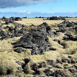 Moss covered lava field