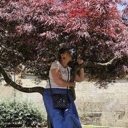 ... Schattenpause ...