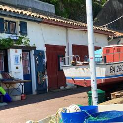 Old Fisherman's Port