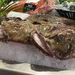 Isn't this the fish in that basket in Mama Mia?